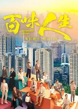 雾港迷踪剧集在线观看